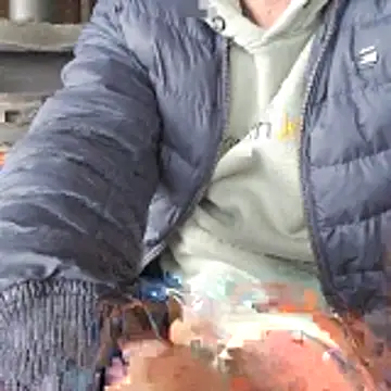 Lumpi1988A online show from February 19, 11:40 am