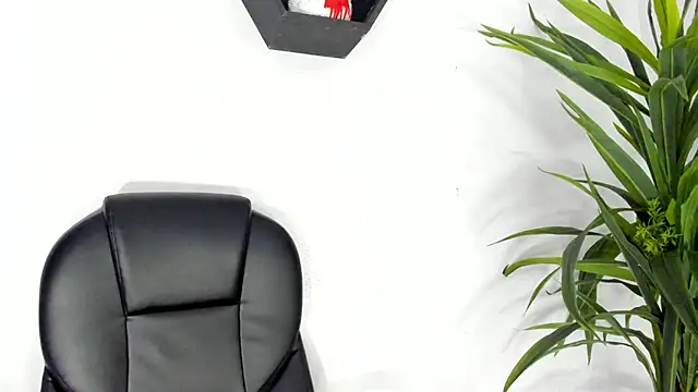 Snapshot of Medusa_velvet chatting on December 11, 11:00 pm Medusa velvet online show from December 11, 11:00 pm