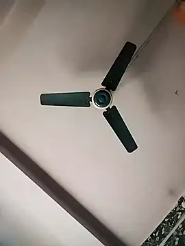  YOUR DREAM FANTASY  online show from February 16, 2:54 am