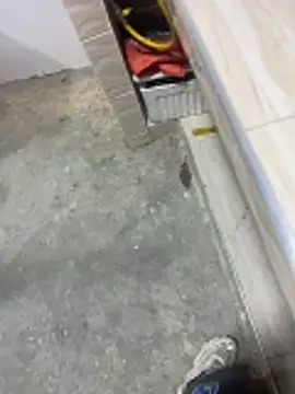 macg96 online show from December 20, 8:06 am