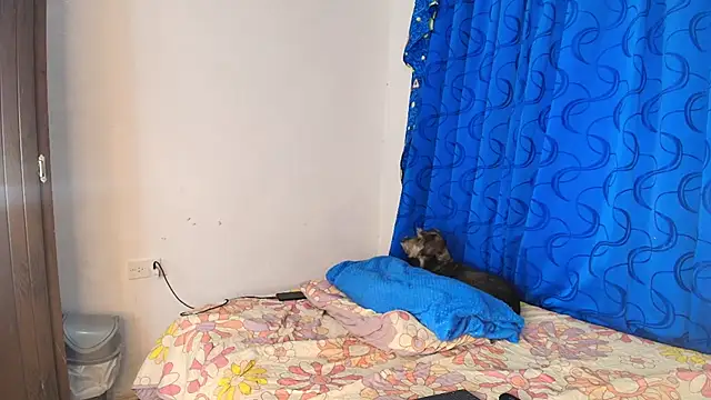 Oh Tique online show from November 14, 7:50 pm