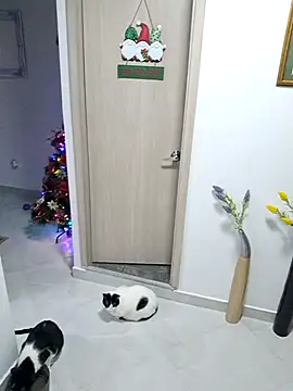 Mia Ruiz online show from November 30, 3:07 am