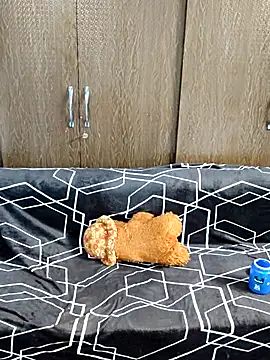 indian yourshreya69 online show from March 15, 2:18 am