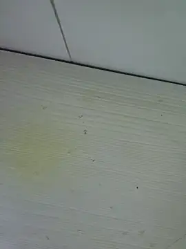 Nyx nayla online show from November 1, 8:19 am