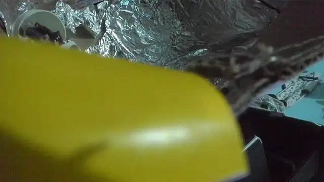 Snapshot of shayla_brown_ chatting on November 1, 3:39 pm shayla brown online show from November 1, 3:39 pm