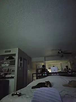 Snapshot of DevilDahm chatting on February 9, 5:49 am DevilDahm online show from February 9, 5:49 am