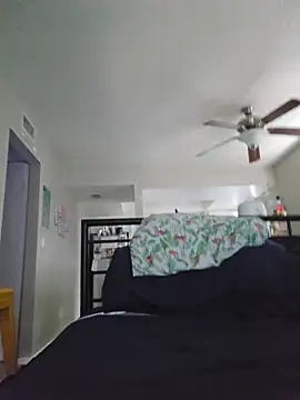 DevilDahm online show from November 21, 8:08 pm