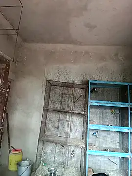 NICK IN online show from February 18, 4:15 am