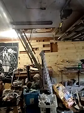 Buffshagswell online show from November 12, 1:26 pm