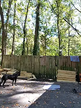 Buffshagswell online show from October 21, 4:06 pm