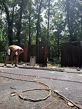 Buffshagswell online show from July 21, 4:41 pm