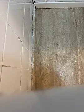 Snapshot of reelciii21 chatting on March 23, 12:58 am reelciii21 online show from March 23, 12:58 am