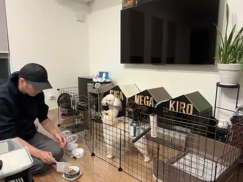 kensnb online show from October 21, 9:30 am