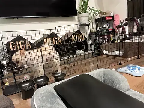 kensnb online show from November 2, 8:03 pm