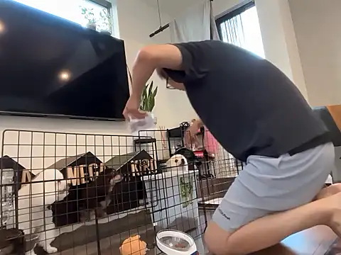 kensnb online show from September 27, 10:05 pm