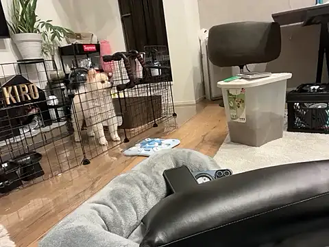 kensnb online show from November 1, 9:14 am