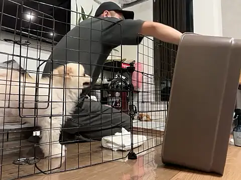 kensnb online show from October 10, 8:48 am