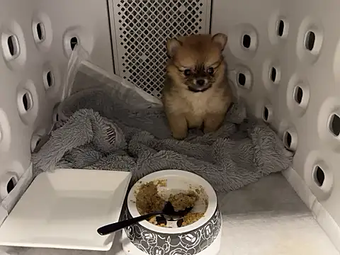 kensnb online show from December 2, 7:37 pm