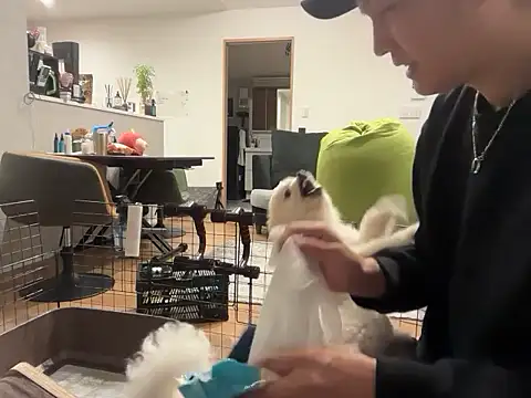 kensnb online show from November 4, 8:51 am