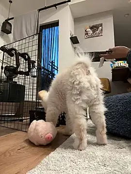 kensnb online show from March 9, 9:07 pm