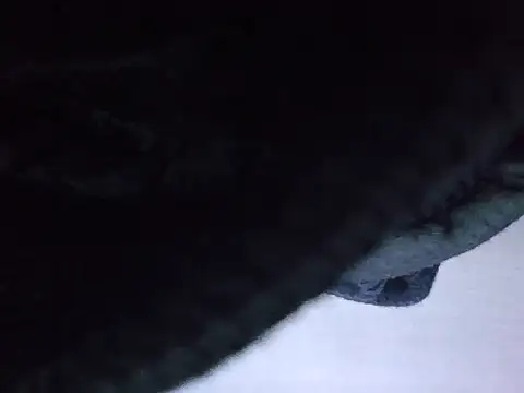 exmilitary online show from February 15, 12:59 pm