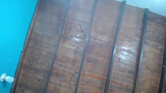 dante ferraraa online show from September 12, 10:09 pm