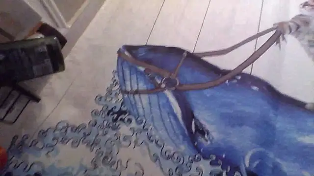 clitstitsandbongrips online show from September 16, 6:03 am