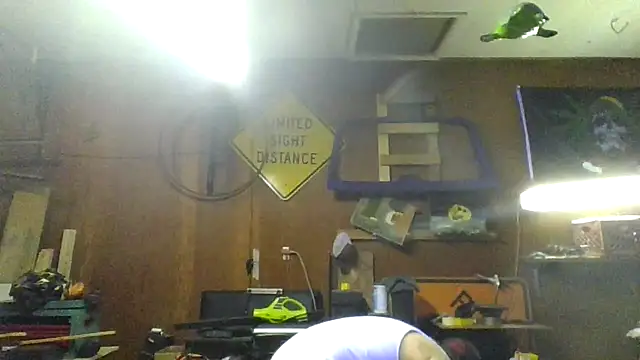 clitstitsandbongrips online show from November 16, 12:04 am