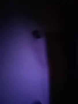 Dani pegin online show from December 2, 1:02 pm