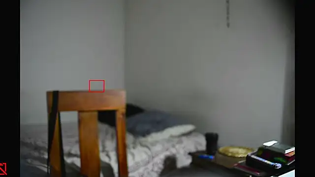 villanocat online show from February 11, 8:05 am