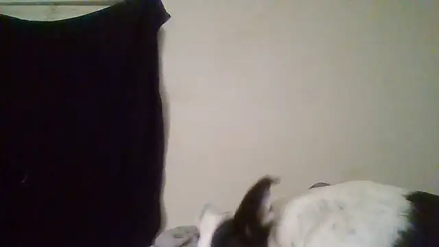 rosequartz online show from January 14, 4:05 am