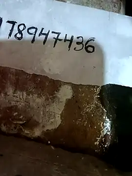 riteshika online show from April 24, 5:31 am