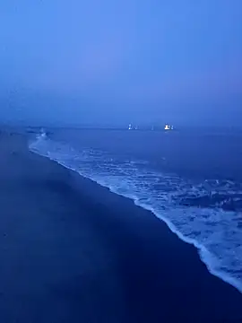 IaDoherty online show from November 10, 10:31 am