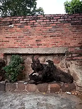 sweet outdoor charm online show from November 27, 8:20 pm