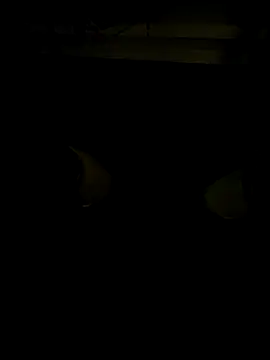 coppiapazza online show from December 18, 11:19 pm