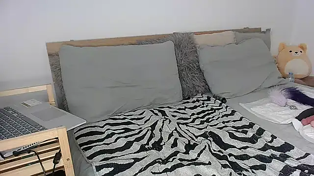 cat woman BD online show from November 3, 5:49 pm