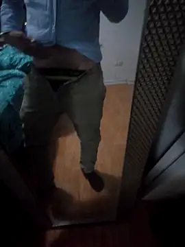 Snapshot of Lighto1 chatting on November 27, 4:13 am Lighto1 online show from November 27, 4:13 am