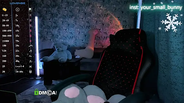 Your small bunny online show from February 24, 2:12 am