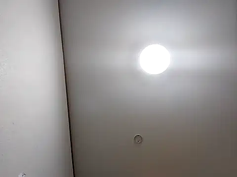 SAITO-YASUYUKI7 online show from January 19, 1:01 pm