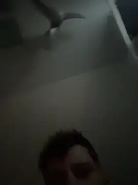 janberlin online show from February 25, 8:03 am