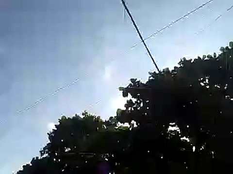 fdvign7 online show from November 5, 9:18 pm