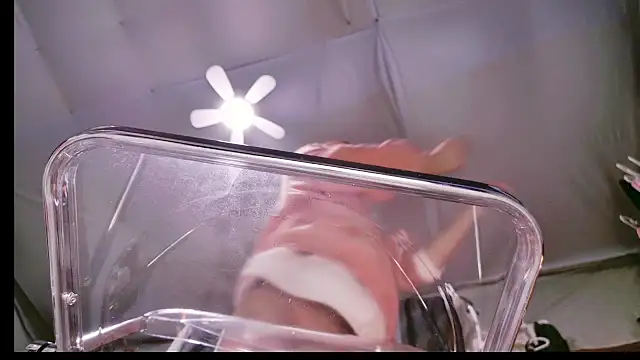 Im IVE LOVE online show from December 14, 5:29 am