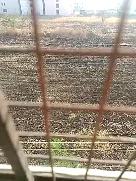 Snapshot of 1010SumiT chatting on January 27, 3:58 am 1010SumiT online show from January 27, 3:58 am