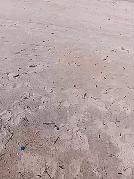 Snapshot of 1010SumiT chatting on November 1, 5:14 am 1010SumiT online show from November 1, 5:14 am