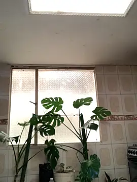 Snapshot of Miss_oliviaa chatting on November 11, 1:06 pm Miss oliviaa online show from November 11, 1:06 pm