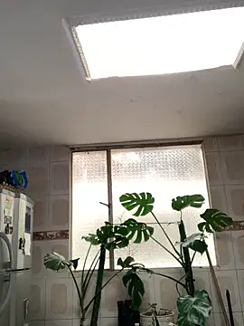 Snapshot of Miss_oliviaa chatting on November 26, 5:13 pm Miss oliviaa online show from November 26, 5:13 pm