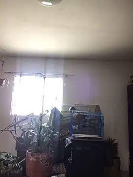 Snapshot of Miss_oliviaa chatting on October 22, 2:05 pm Miss oliviaa online show from October 22, 2:05 pm