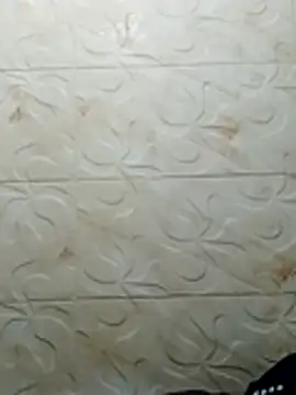 luchoarr online show from November 2, 3:33 am