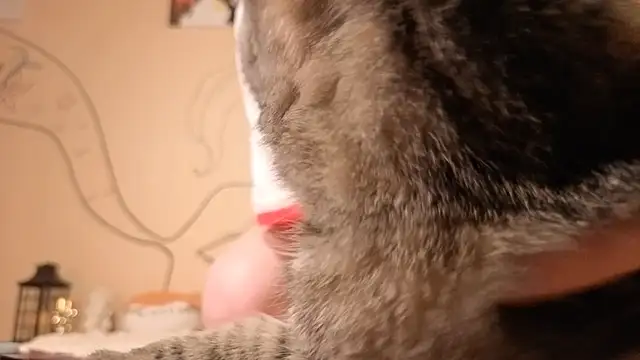 such juicee online show from April 5, 7:20 pm