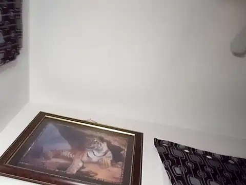 Snapshot of gemini12838 chatting on January 13, 2:39 am gemini12838 online show from January 13, 2:39 am